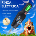 Máquina desplumadora eléctrica para pollos, patos y codornices