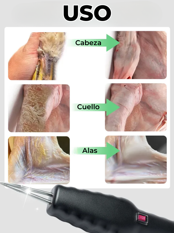 Máquina desplumadora eléctrica para pollos, patos y codornices