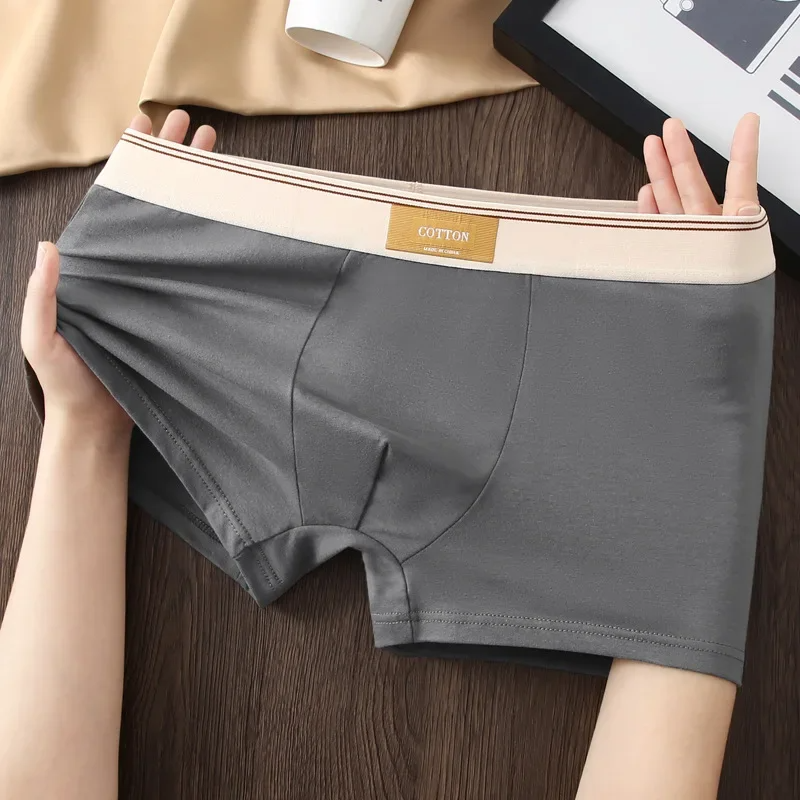 Boxer in cotone premium